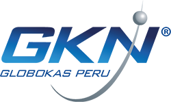 Logo GKN color